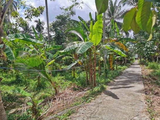 ��·��Թ ���ѹ����