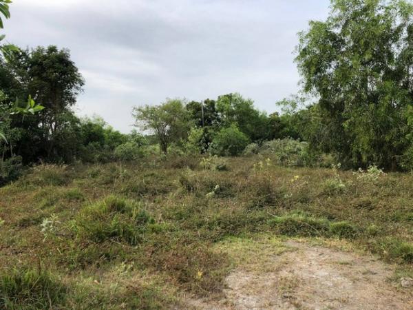 ���ԧ��� �� Noname2023