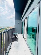 �͹� 50 ���ҧ����