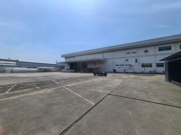 �ҧ��Ҹ� �� naorinpl