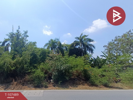 ��û�� �� The Best Property Agent