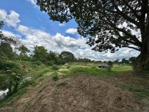 ���Թ �Դ����� 990,000 �ҷ