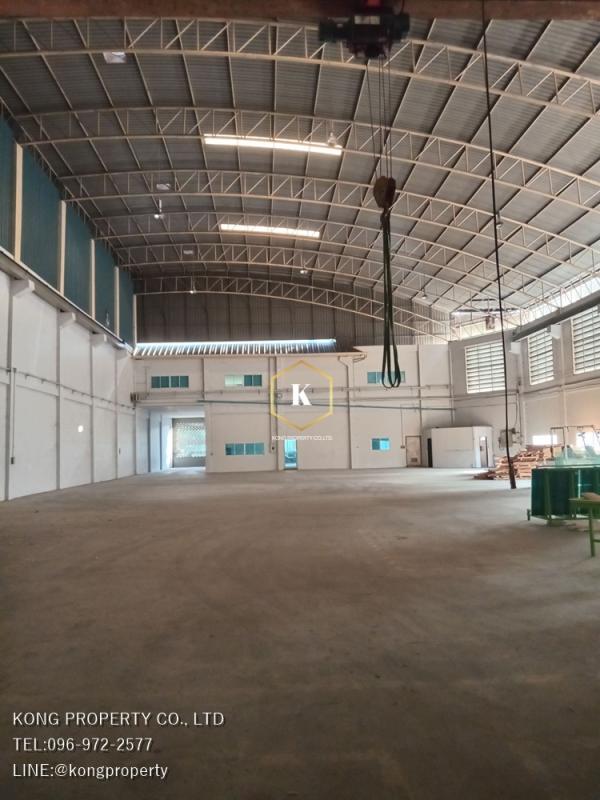 ��طû�ҡ�� �� Kong property