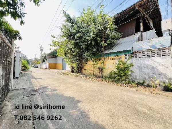 ���⡴ѧ �֧������ا෾