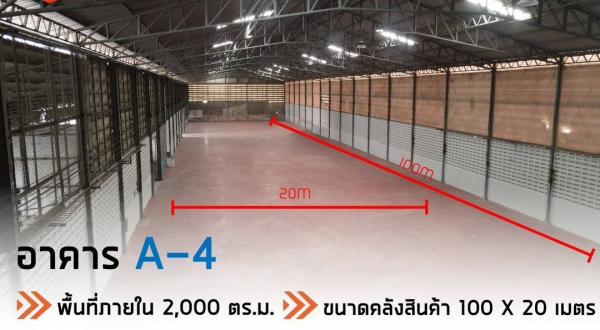 �����ҹ� �� 1000property