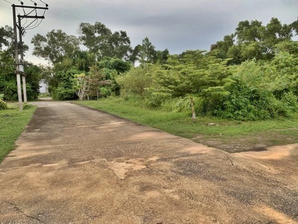 ��·��Թ �ѹ�ѧ ��ѧ