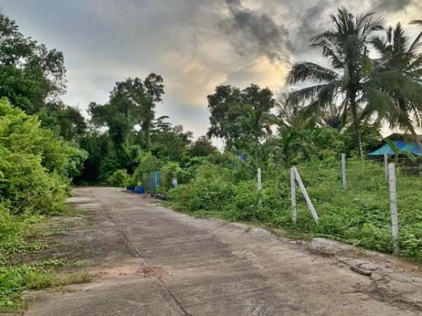 ��·��Թ �ѹ�ѧ ��ѧ