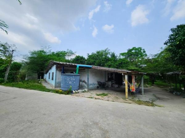 ����Ҫ� �� goodlada24