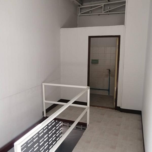 ⡴ѧ������ ����