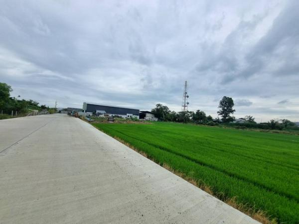 �Ҵ��кѧ �� nanthakan4