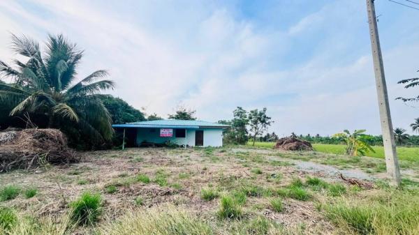 ��¹�û�� �� condoguru1