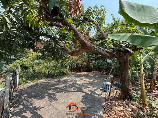 ��·��Թ �ҧ�͡�˭��ا෾