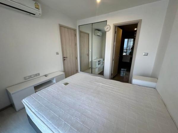 ��¤�ͧ�� �� �͡���