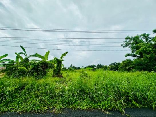 ��·��Թ ���ͧ��ù�¡��ù�¡