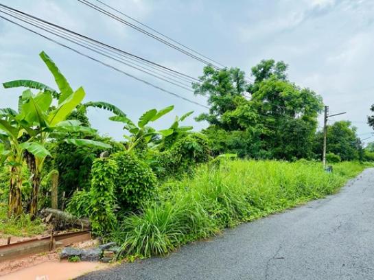 ��·��Թ ���ͧ��ù�¡��ù�¡