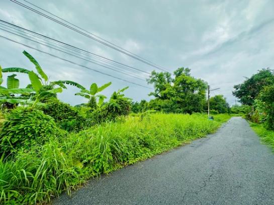 ��·��Թ ���ͧ��ù�¡��ù�¡