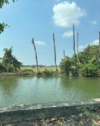 ��·��Թ �Ҥһ�С�Ȣ�� 223,000,000 �ҷ