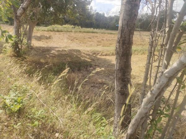 �غ��Ҫ�ҹ� �� Noname2023