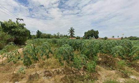 ���ͧ �� incube