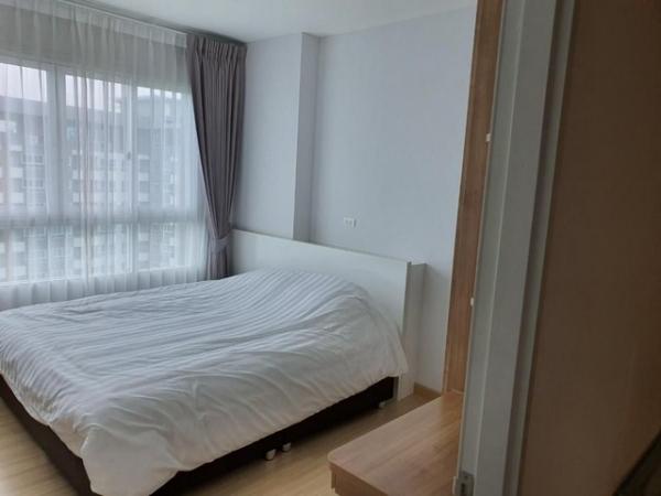 �͹�����Ҫ� 2,500,000 �ҷ