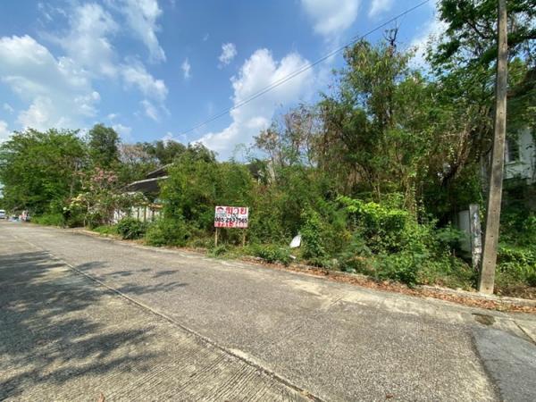 ���Թ ��ͧ3