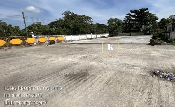 ⡴ѧ������ �� Kong property