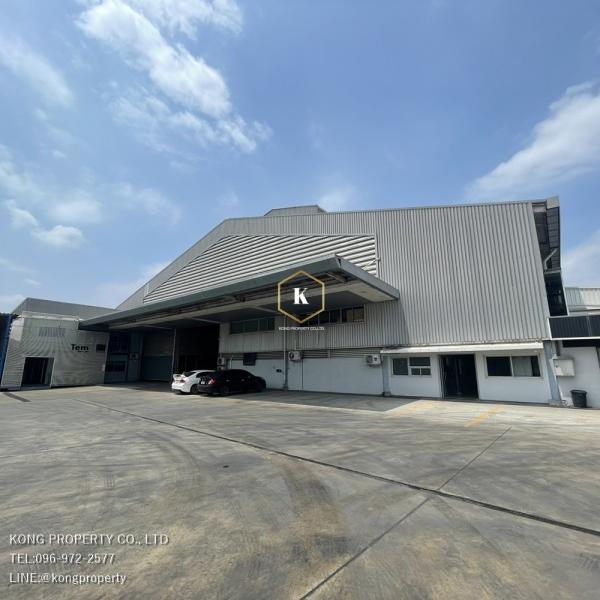 ⡴ѧ�ҧ��� �� Kong property