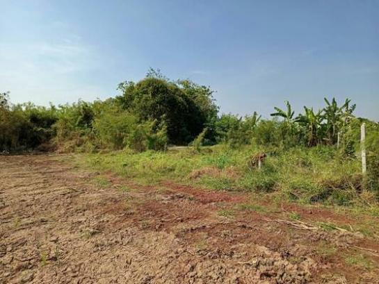 �����ط��Ҥ� �� Estate Corner