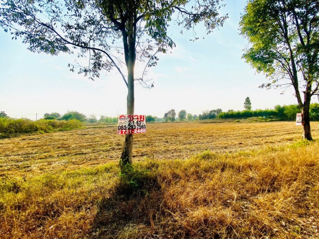 ���Թ���觪���� ��ᾧྪ�