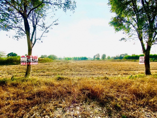 ���Թ��ӡ����Ҥһ����Թ ��ᾧྪ�