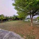 ��ҹ �����