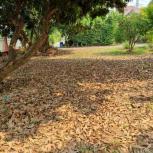 ��� ��ҹ �����