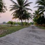 ��ҹ �����