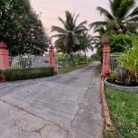 ��ҹ ����� 1,862 ���ҧ��