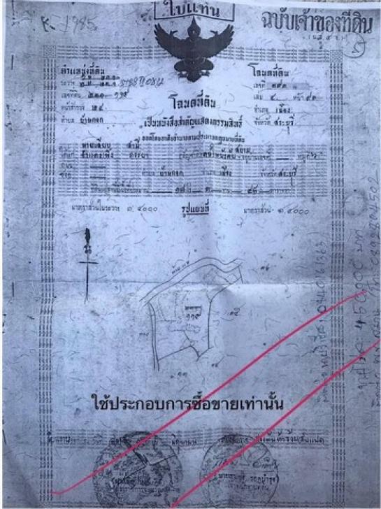 �觤�� �� sopa