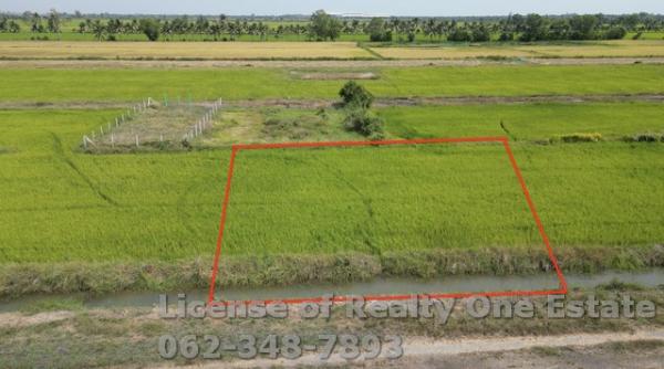 ขายที่ดิน นครนายก 150,000-300,000 บาท