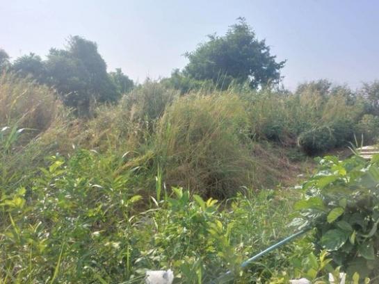 �ҧ��Ҹ� �� Estate Corner