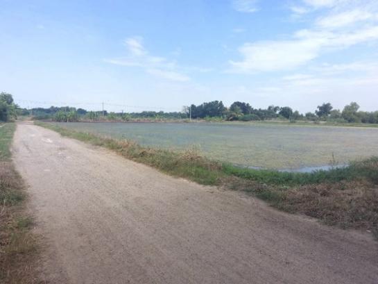 ��û�� �� Estate Corner