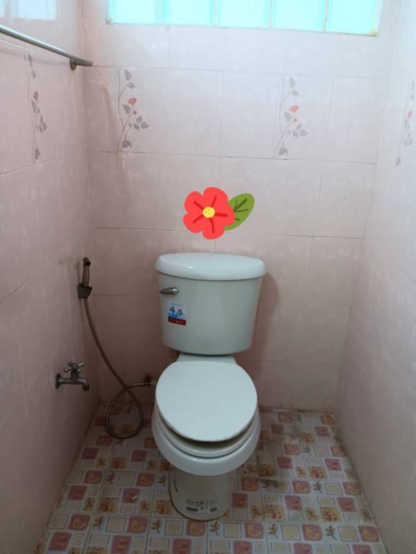 �Ҥ�þҳԪ�쵡�觾�������� ˹ͧ��