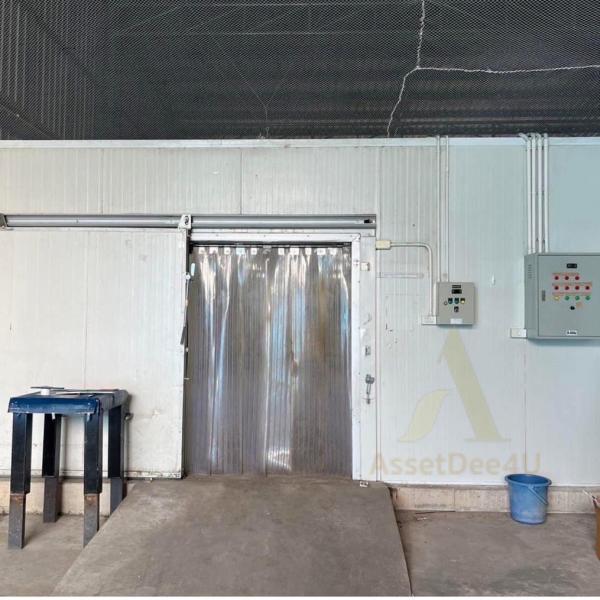 �����ҹ� �� AssetD4U