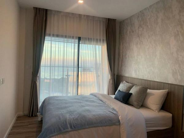 �͹ⴷ������������ѧ �ź���