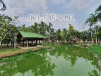 ҹ 5  طʧ