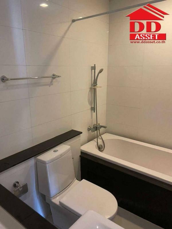 �͹�����ͧ�ѡ��� �ҧ��