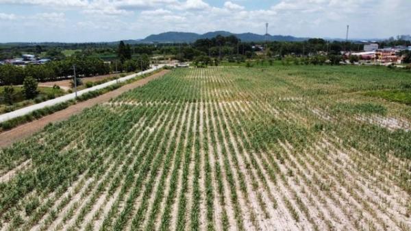 �ź��� �� ahousepost9