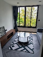 ��ǹ���� ���¢�ҧ 228 ���ҧ����