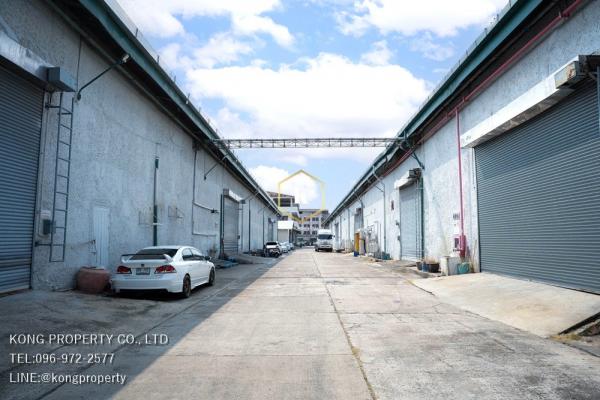 ⡴ѧ��ا෾ �� Kong property