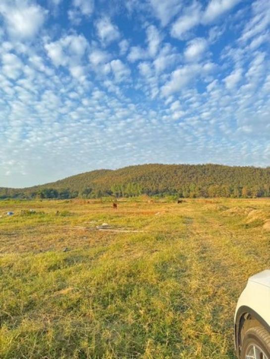 �ѹ��ᾧ �� northern1