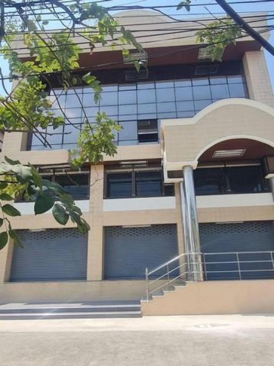 ����Ѳ�� �� coasset22