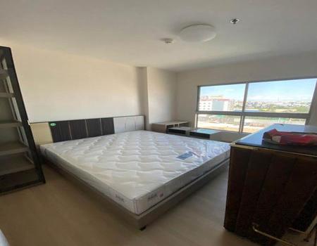 ������¢�ҧ �� incube