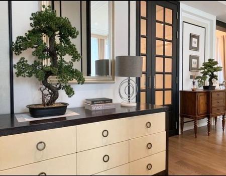 ��¤�ͧ�� �� incube